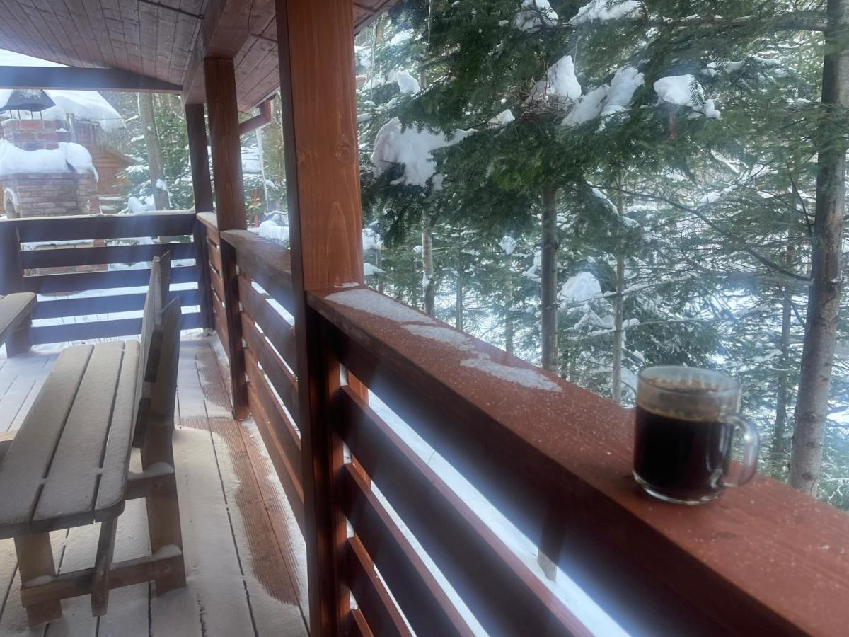 Villa Затишна De Luxe Mikulicsin Kültér fotó
