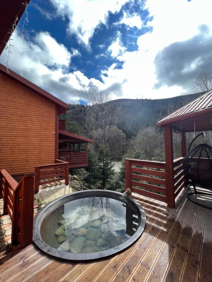 Villa Затишна De Luxe Mikulicsin Kültér fotó